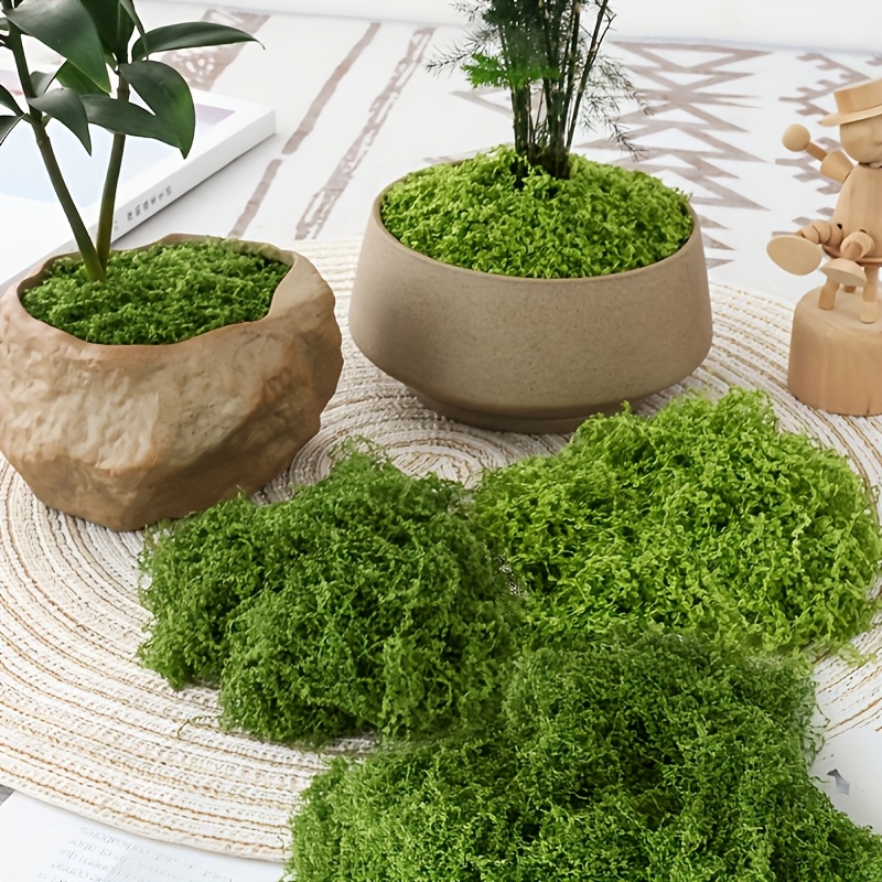 Sphagnum Moss Dry - Büyük Paket Gerçekçi Yapay Yosun Doğal