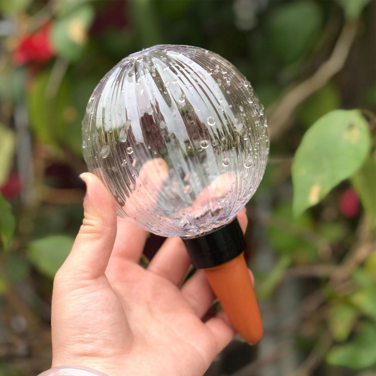 Kendi Kendine Sulayan Saksı Ek - Self Watering Insert incelemesi ve fiyatı