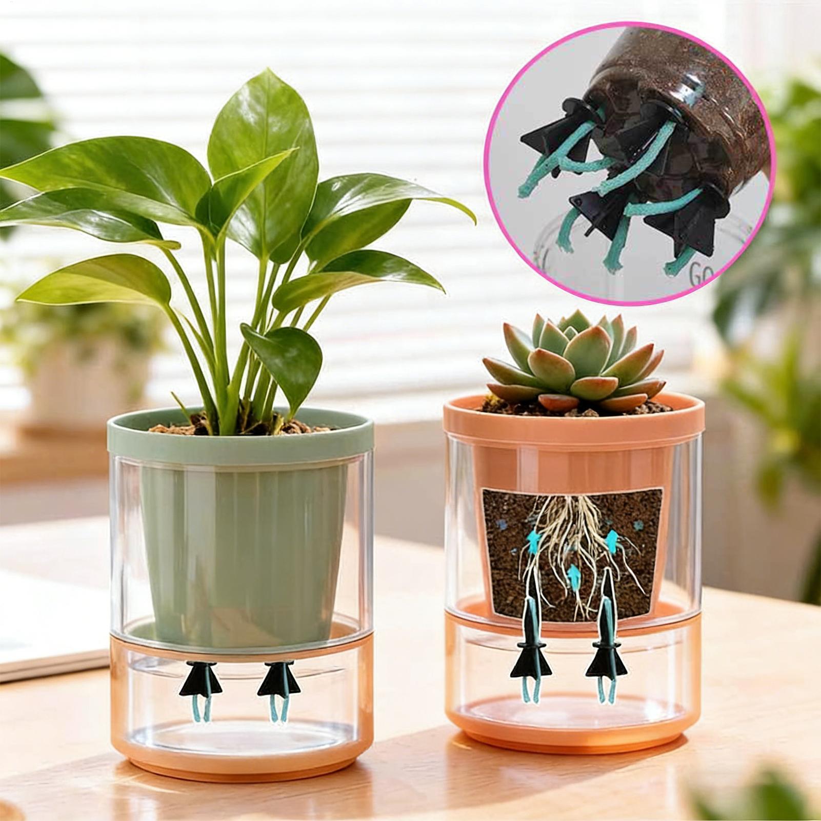 Kendinden Sulama Saksı Eki 4 P - Self Watering Insert incelemesi ve fiyatı