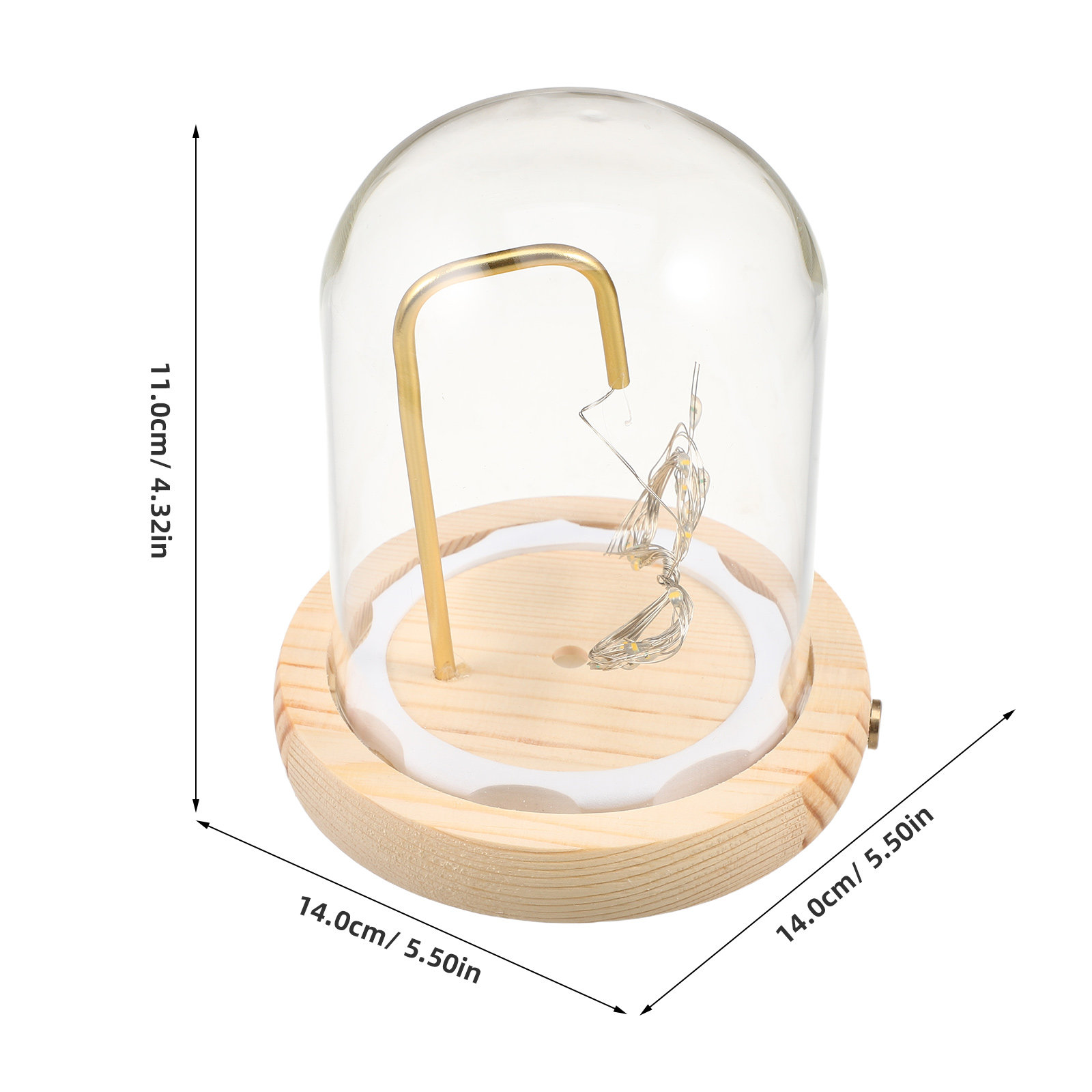 Ahşap Tabanlı Cam Kubbe Vitrin - Plastic Dome Clear incelemesi ve fiyatı