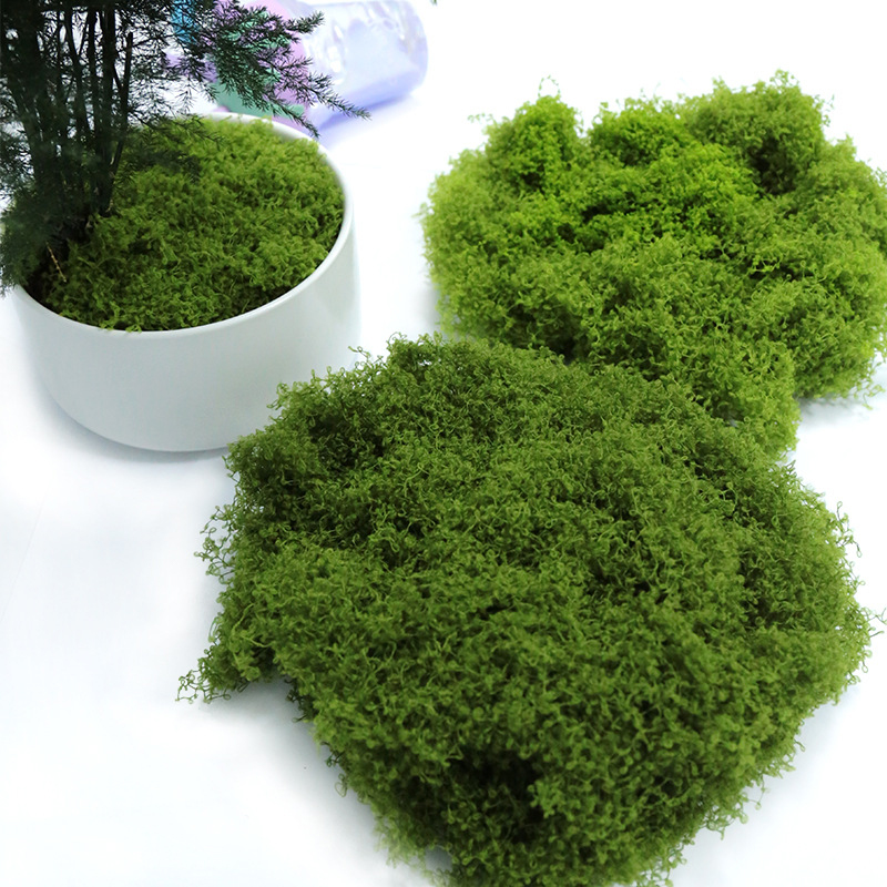 【P】50g Sahte Yosun DIY El Sana - Sphagnum Moss Dry incelemesi ve fiyatı